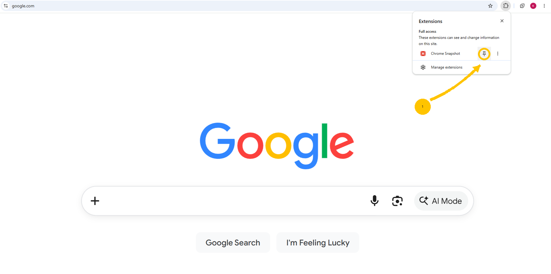 Chrome extensions menu with the pin icon next to Chrome Snapshot highlighted