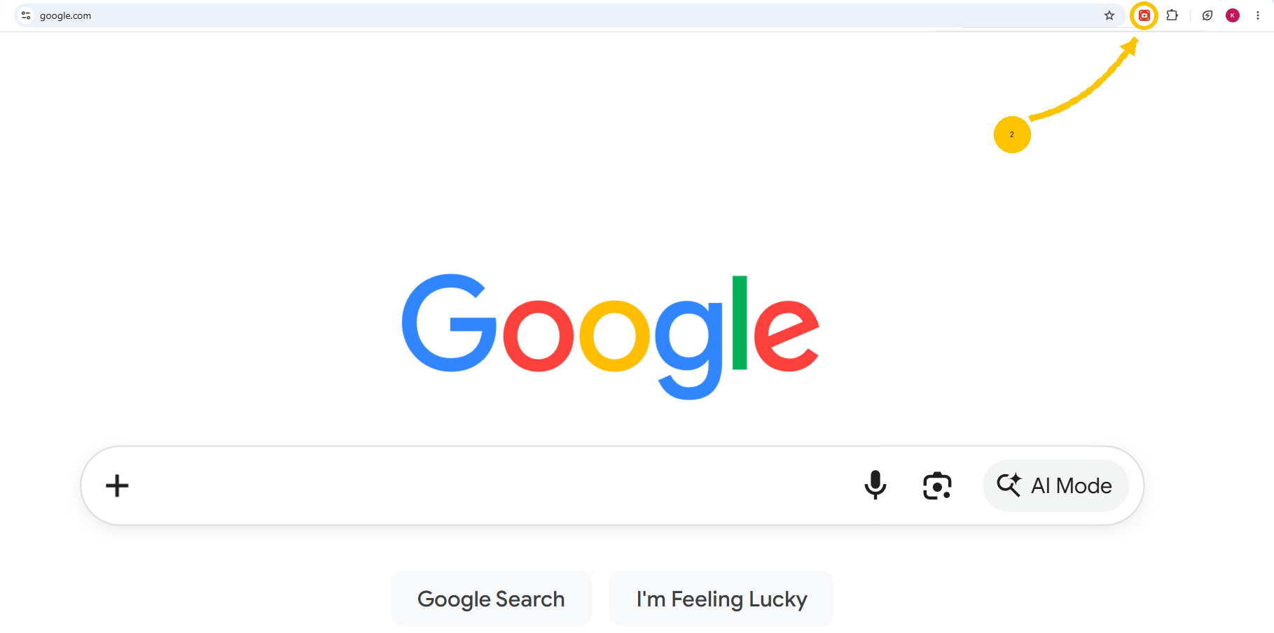 Chrome Snapshot icon pinned in the Chrome toolbar