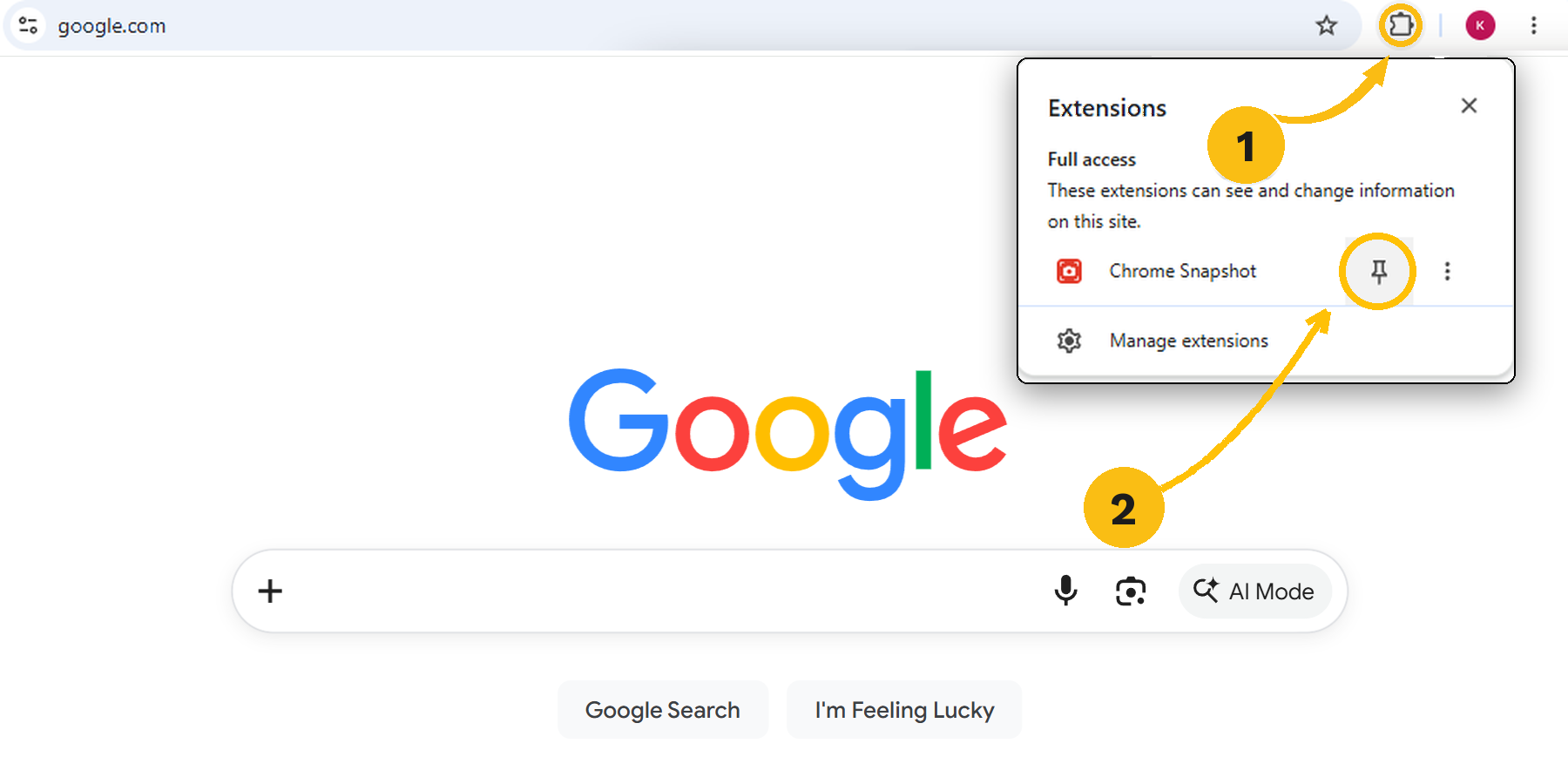 Chrome extensions menu with the puzzle icon and the pin icon next to Chrome Snapshot highlighted